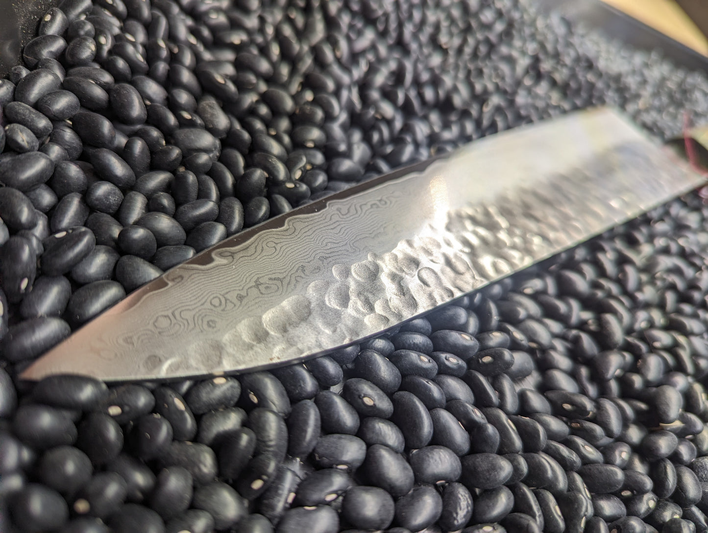 220mm Gyuto - Dyed Maple