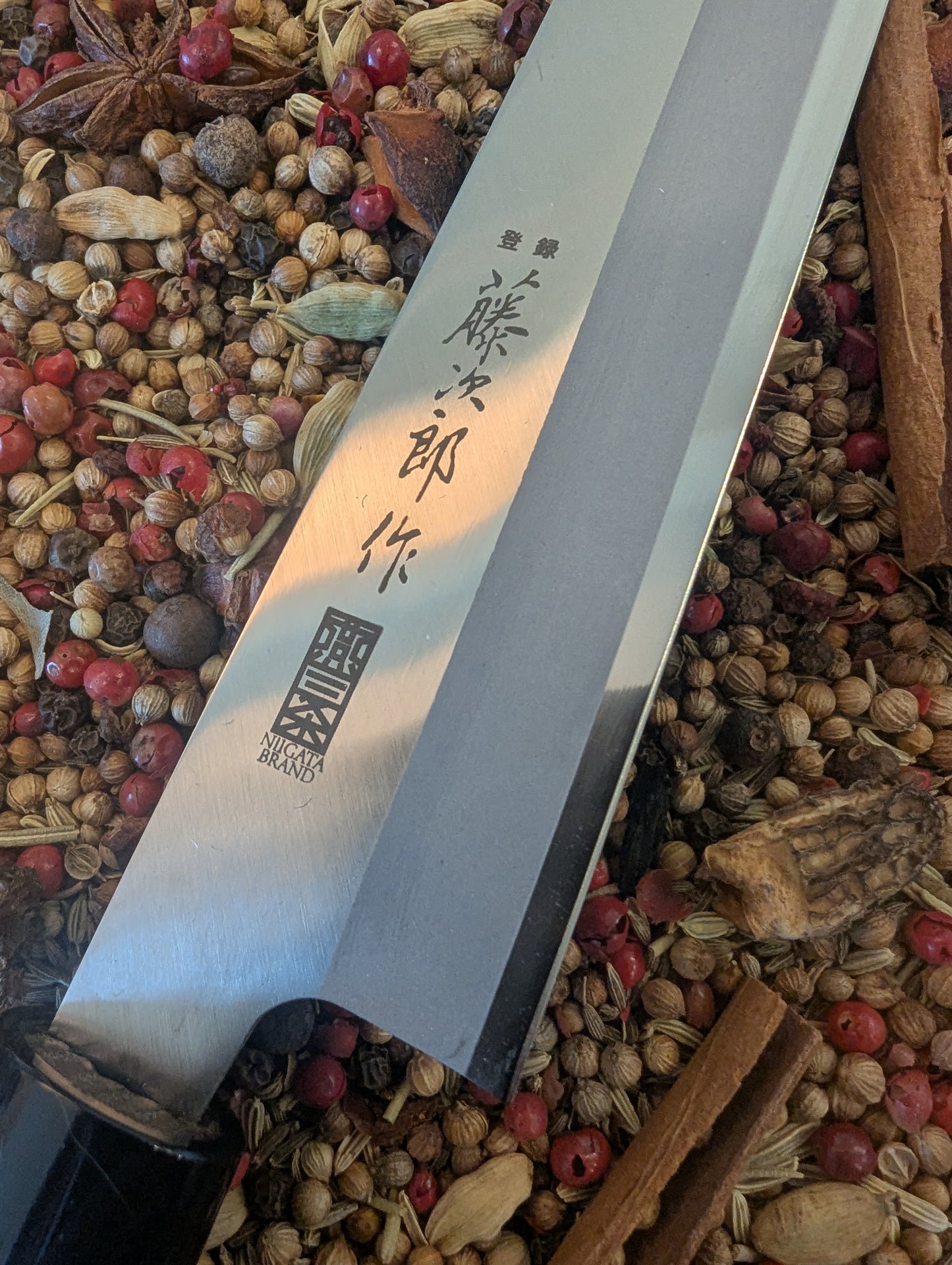 210mm Tojiro Niigata Sujihiki