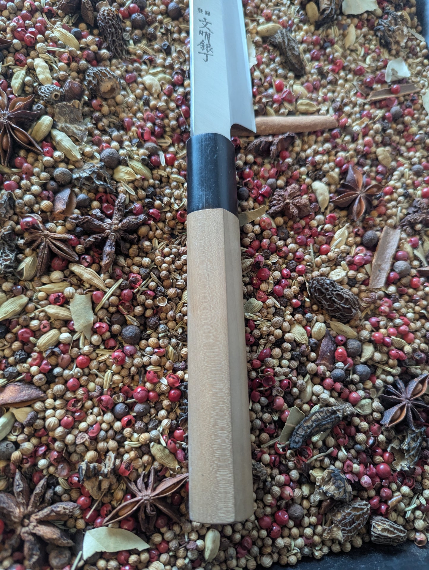 210mm Sakai Yanagiba