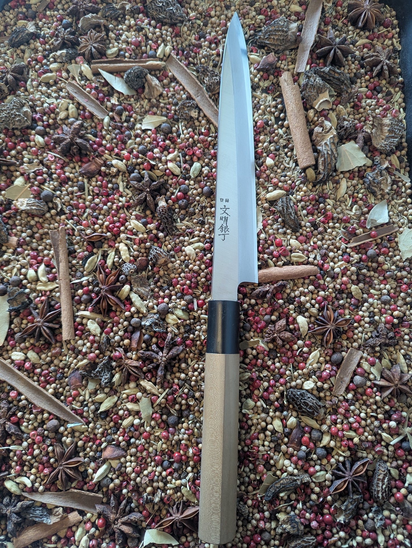210mm Sakai Yanagiba