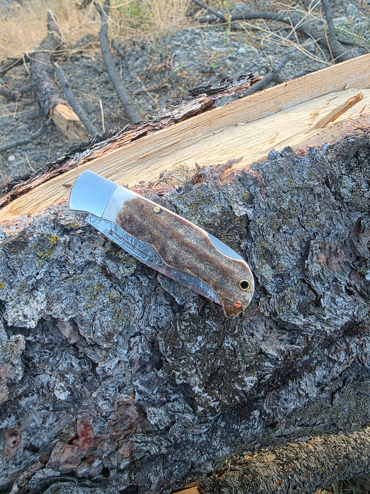 Field & Forage Deer Antler-Handle, VG10 Folding Knife