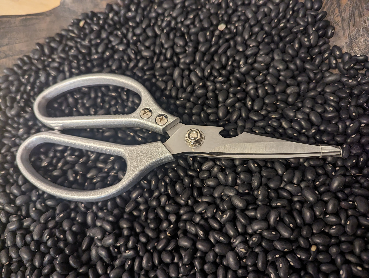 Heavy duty kitchen shears