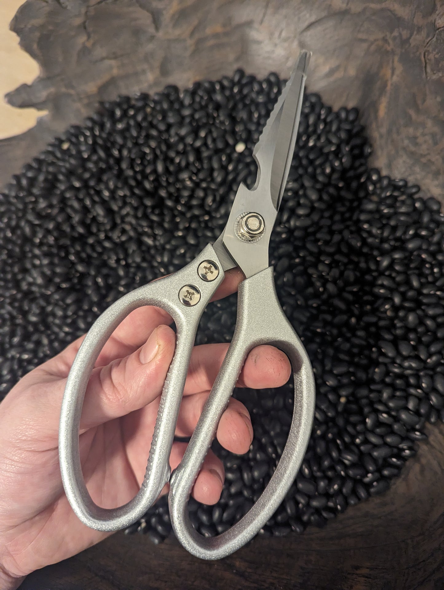 Heavy duty kitchen shears