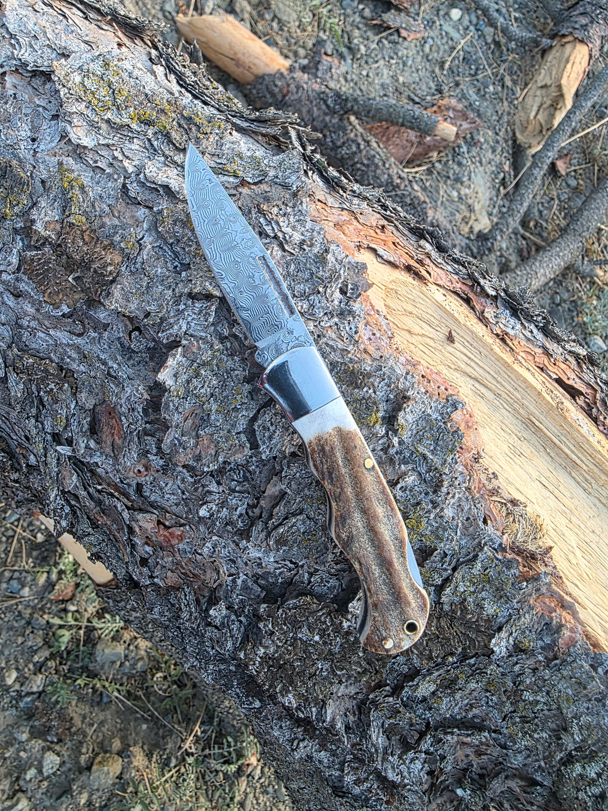 Field & Forage Deer Antler-Handle, VG10 Folding Knife