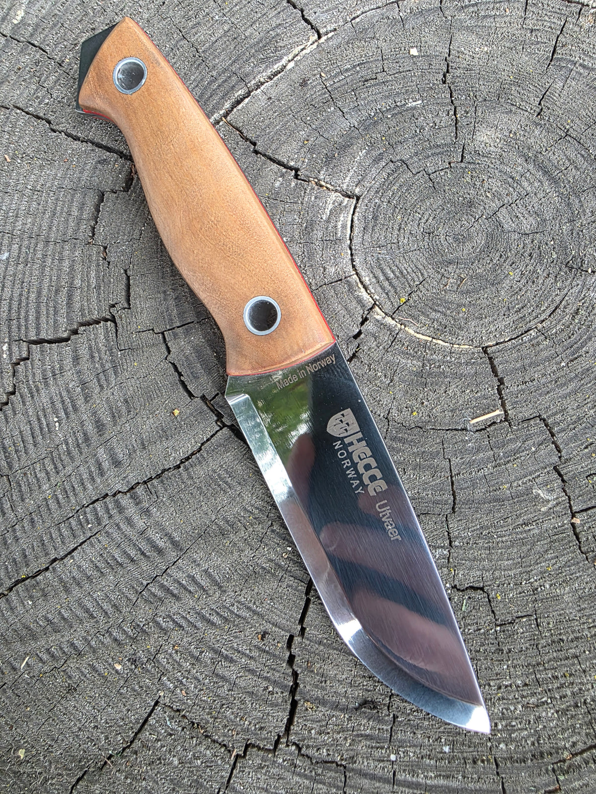 Field & Forage 12C27 Fixed-Blade Knife