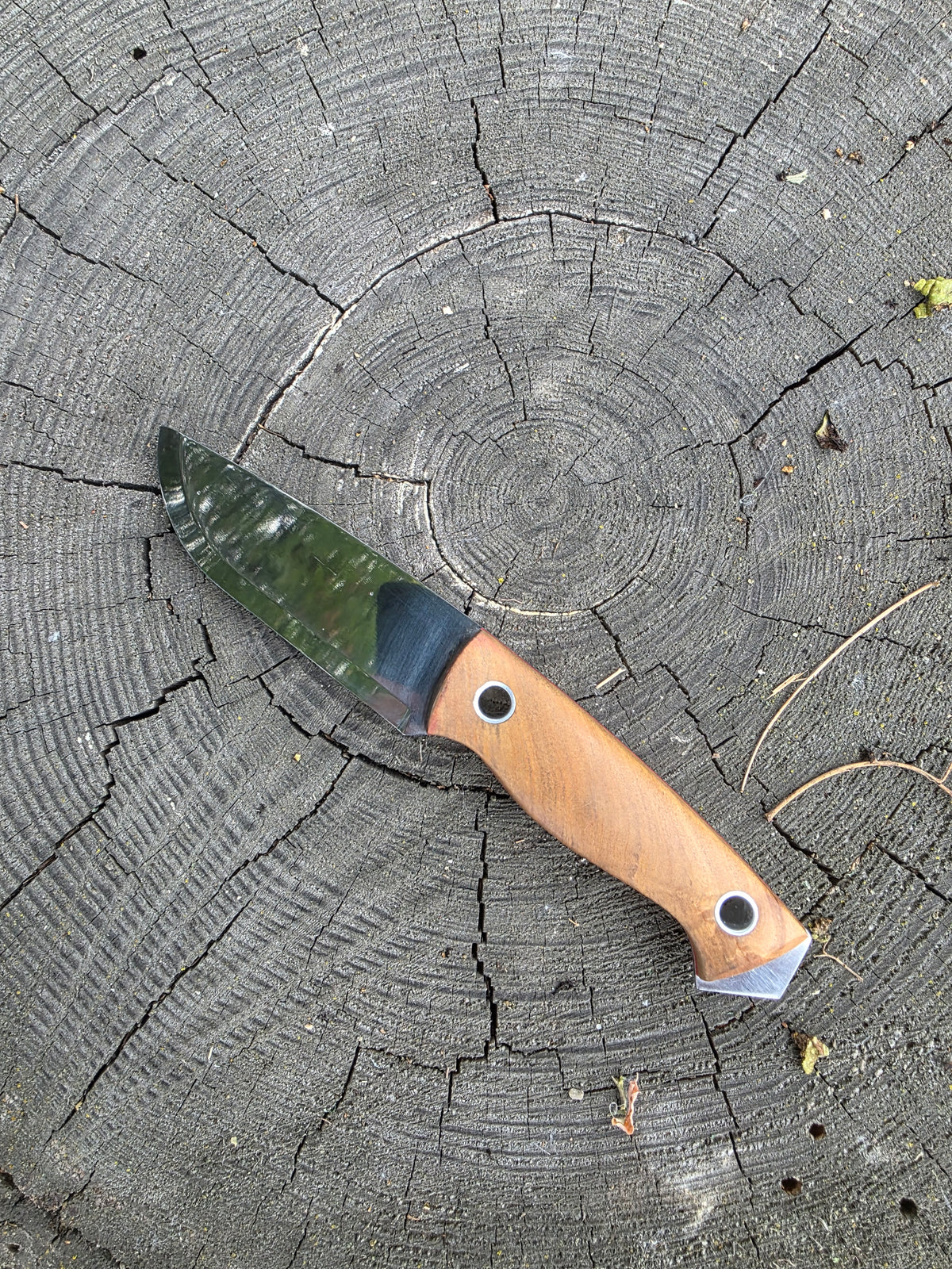 Field & Forage 12C27 Fixed-Blade Knife
