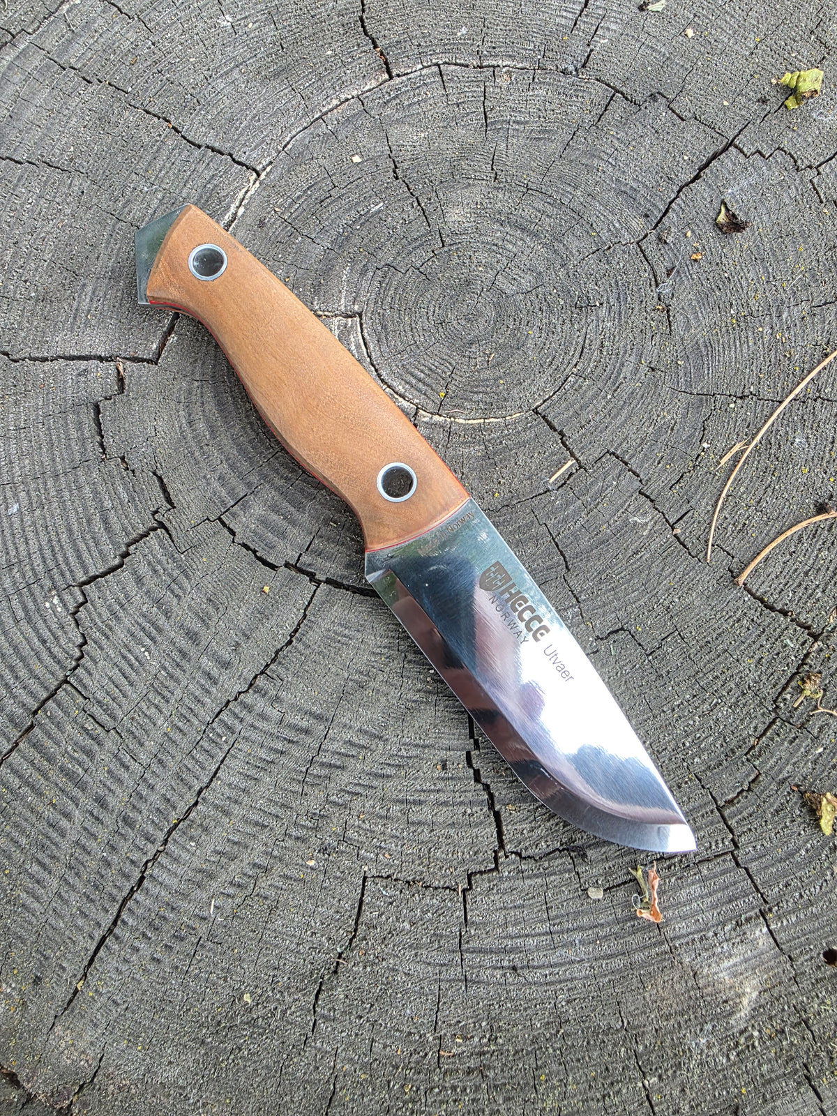 Field & Forage 12C27 Fixed-Blade Knife