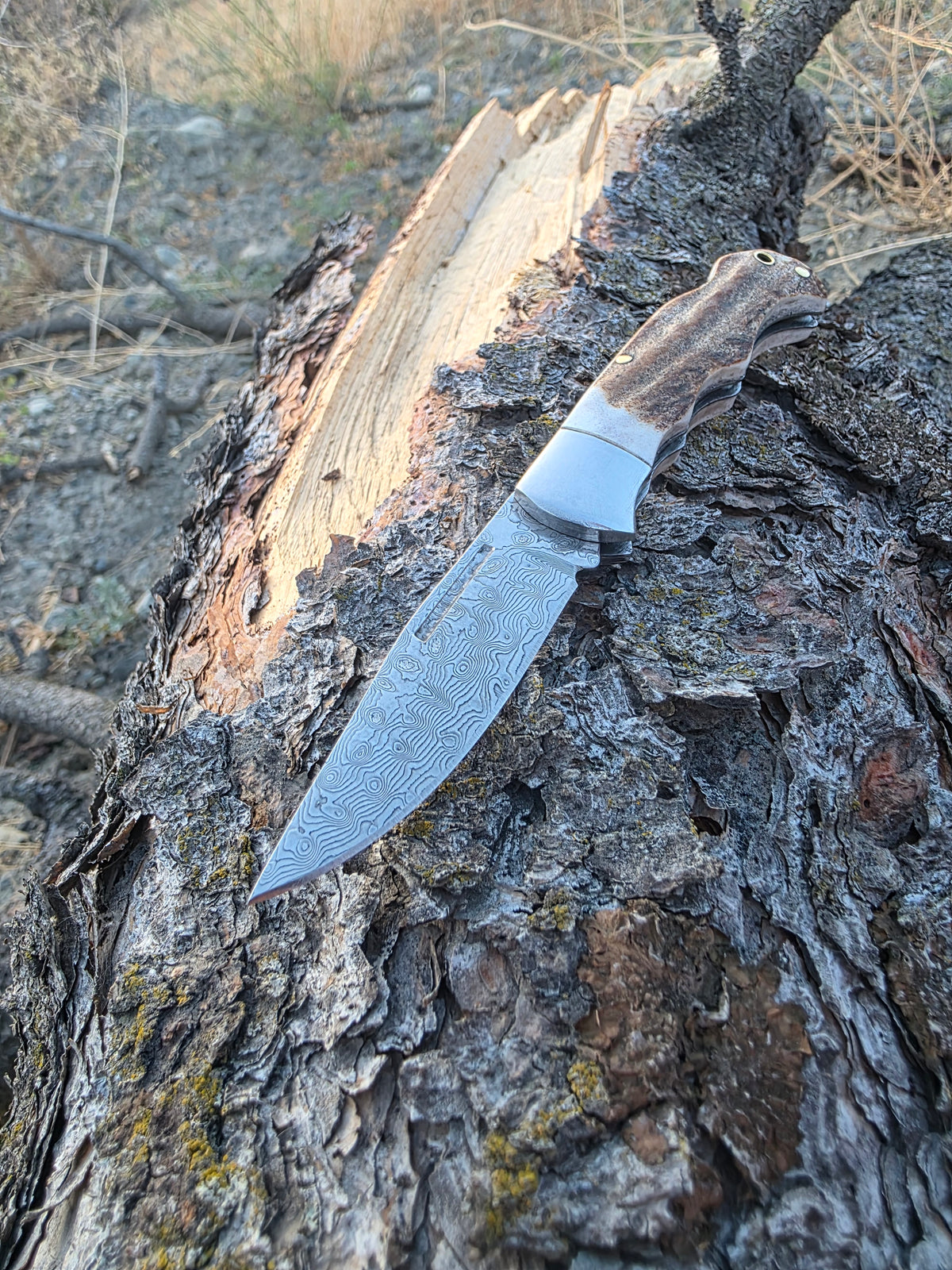 Field & Forage Deer Antler-Handle, VG10 Folding Knife
