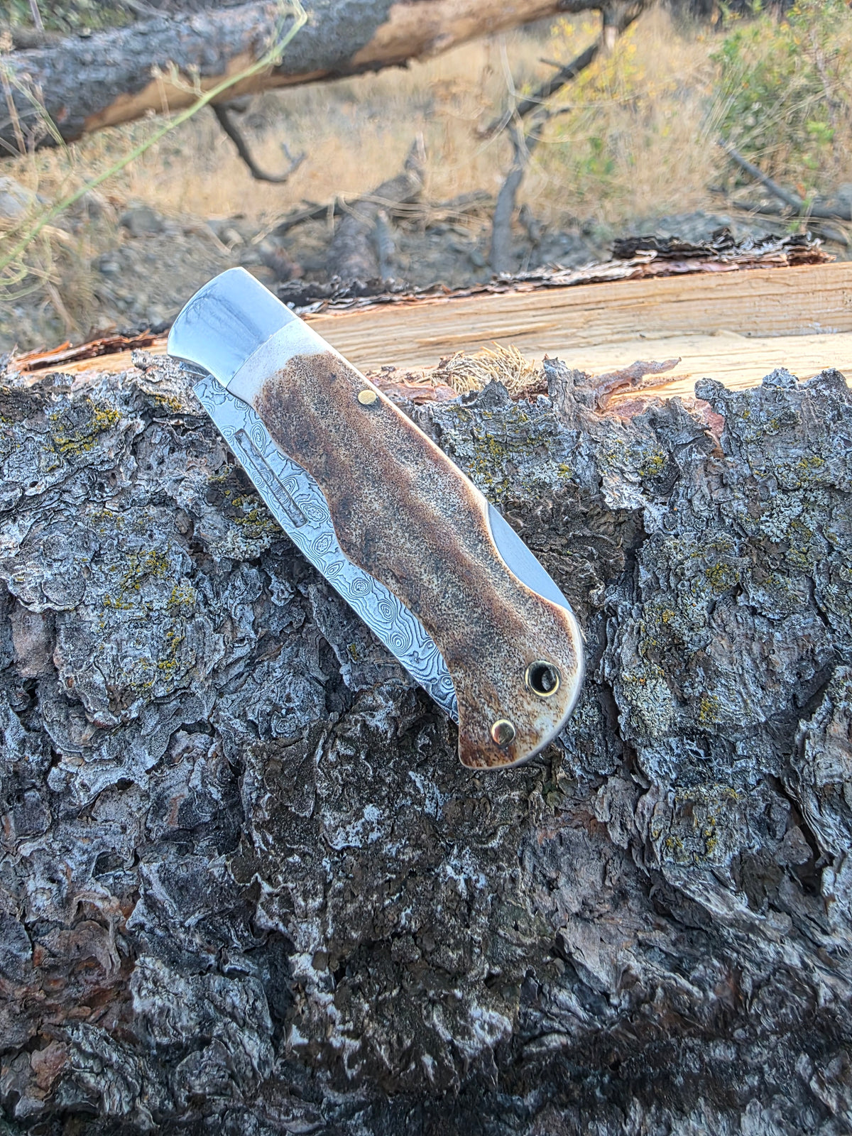 Field & Forage Deer Antler-Handle, VG10 Folding Knife