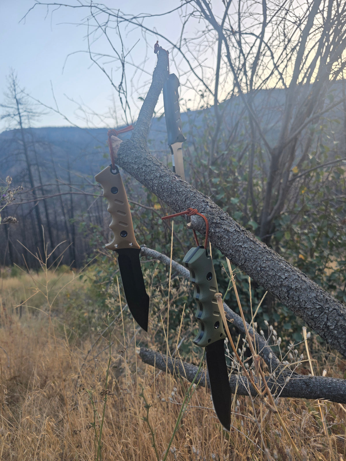 Field & Forage D2 Fixed-Blade Knife