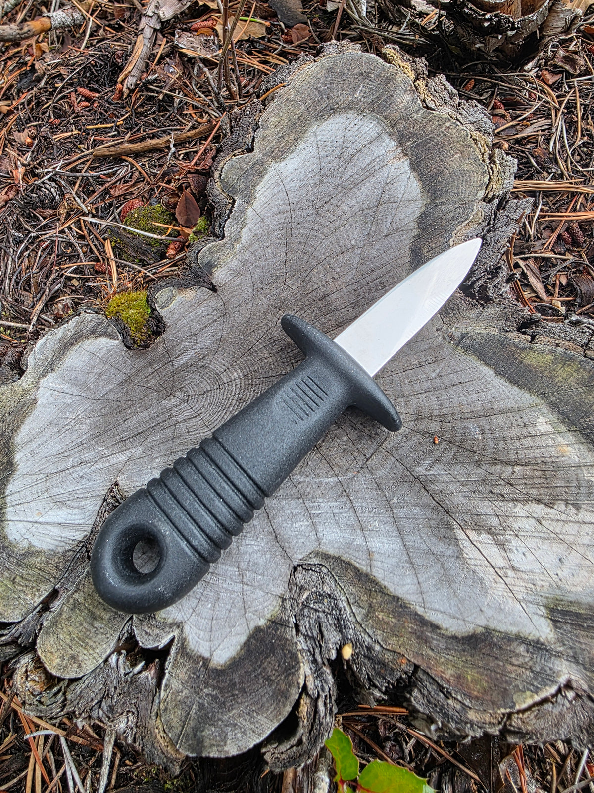 Field & Forage Oyster Shucker