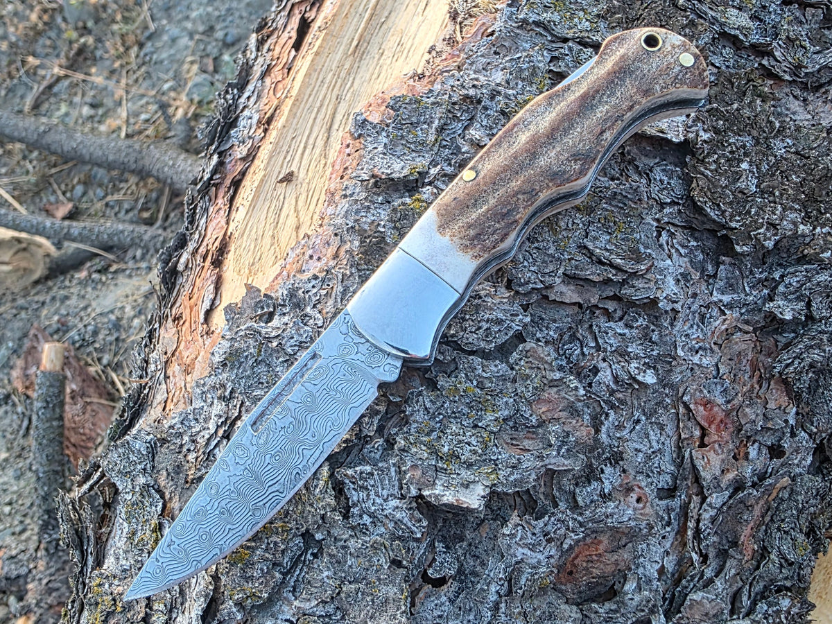 Field & Forage Deer Antler-Handle, VG10 Folding Knife