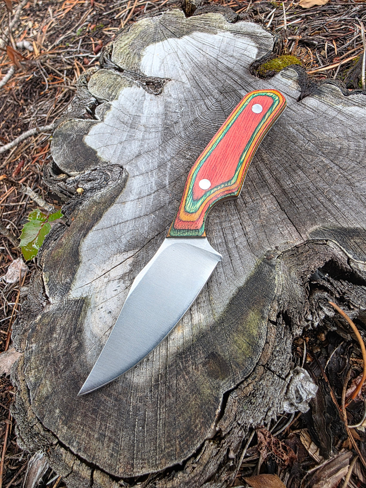 Field & Forage Compact Fixed-Blade Knife