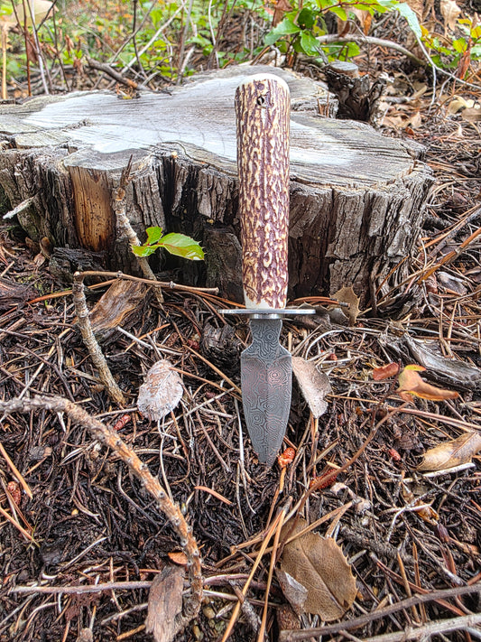 Field & Forage Antler Oyster Shucker