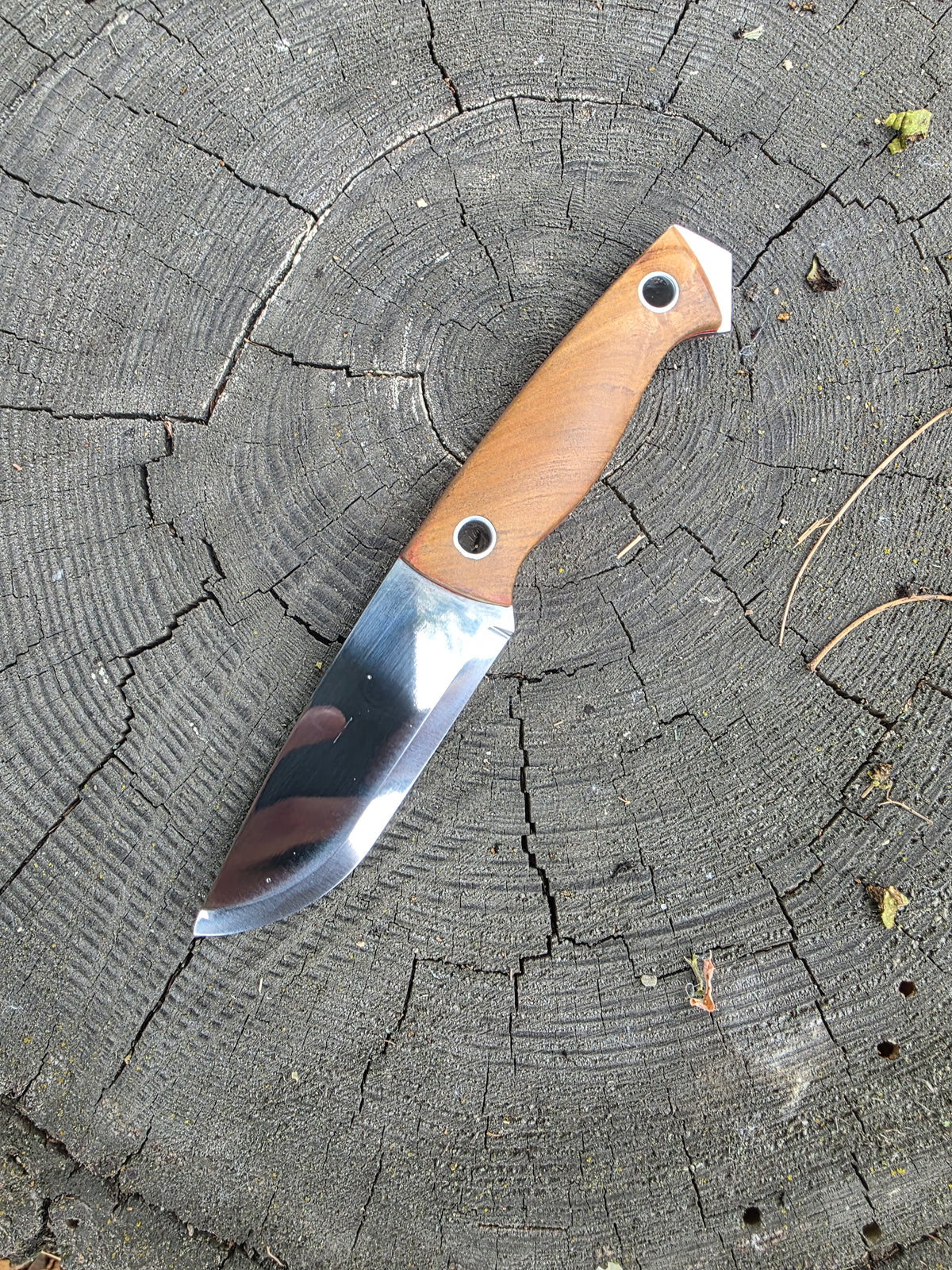 Field & Forage 12C27 Fixed-Blade Knife