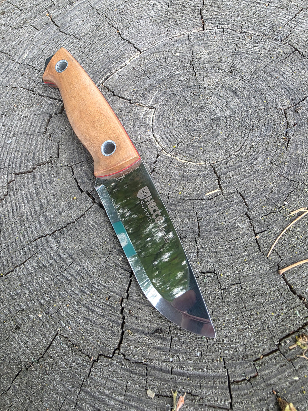 Field & Forage 12C27 Fixed-Blade Knife