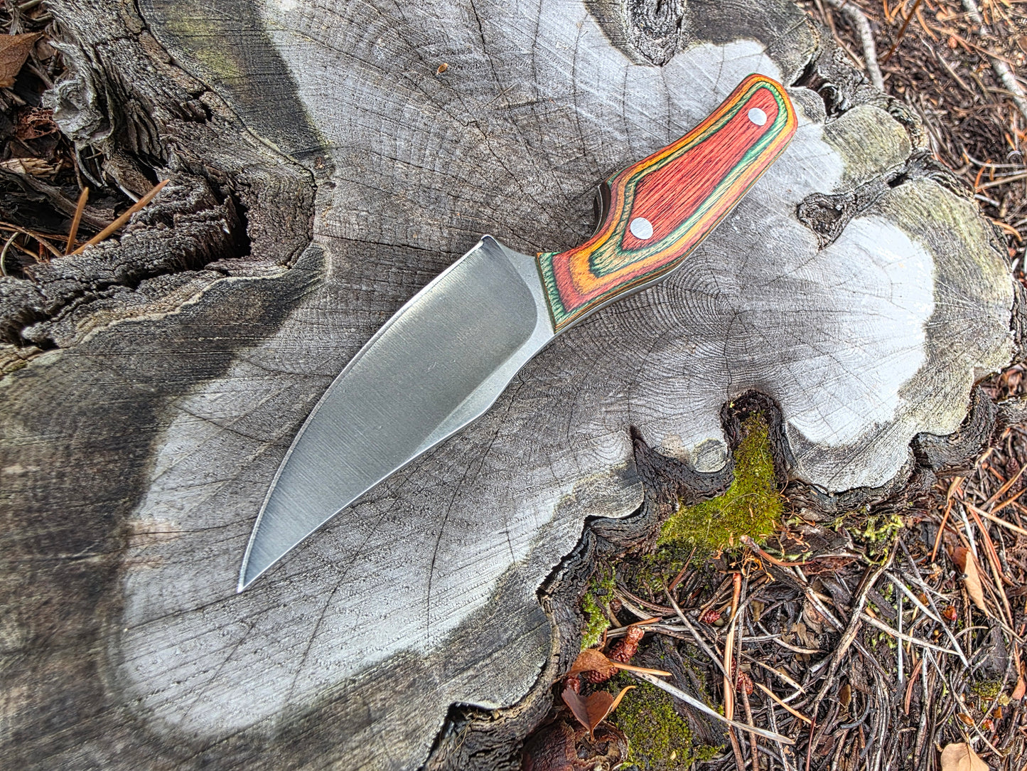 Field & Forage Compact Fixed-Blade Knife
