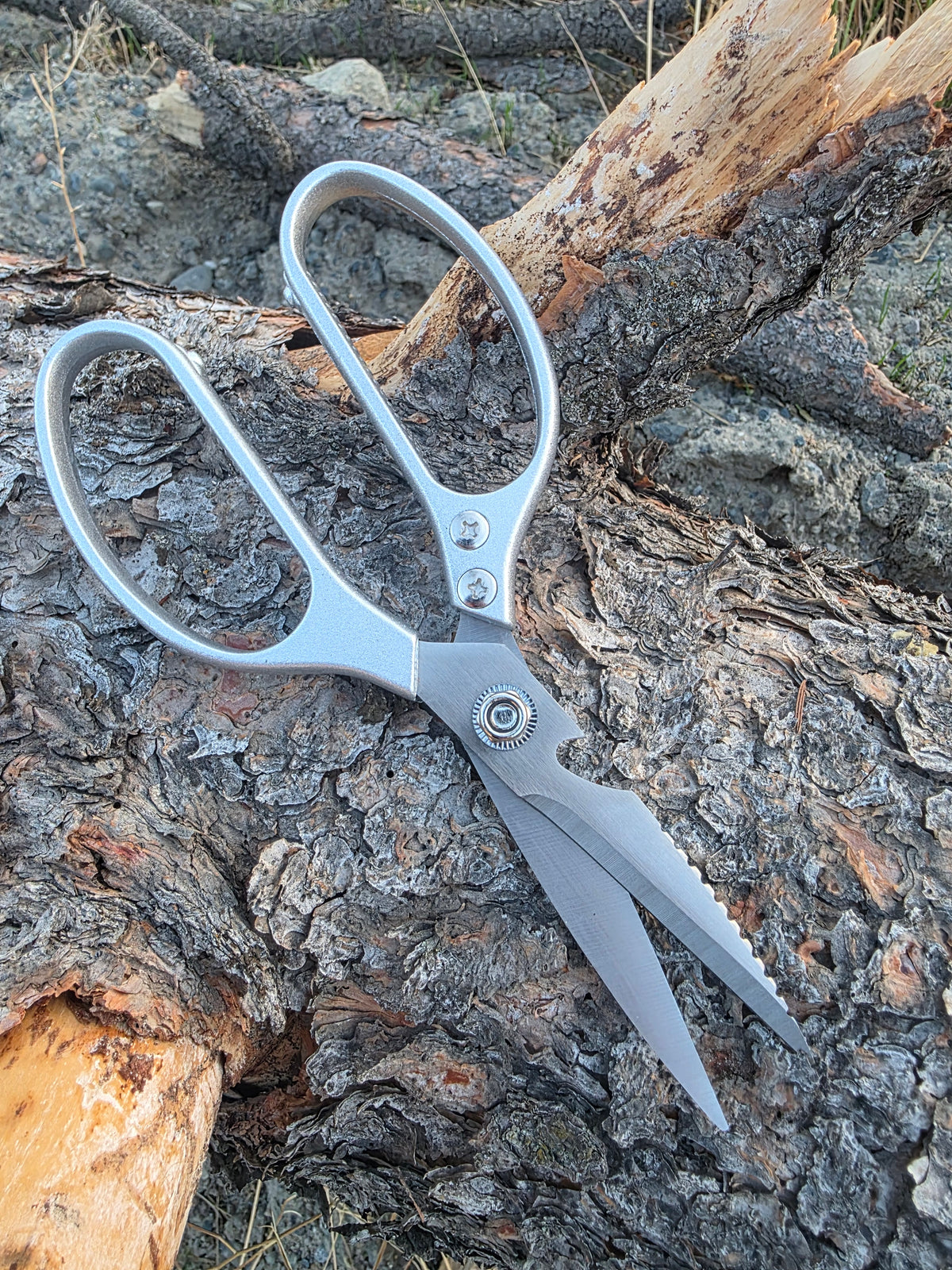 Field & Forage Heavy-Duty Japanese Shears