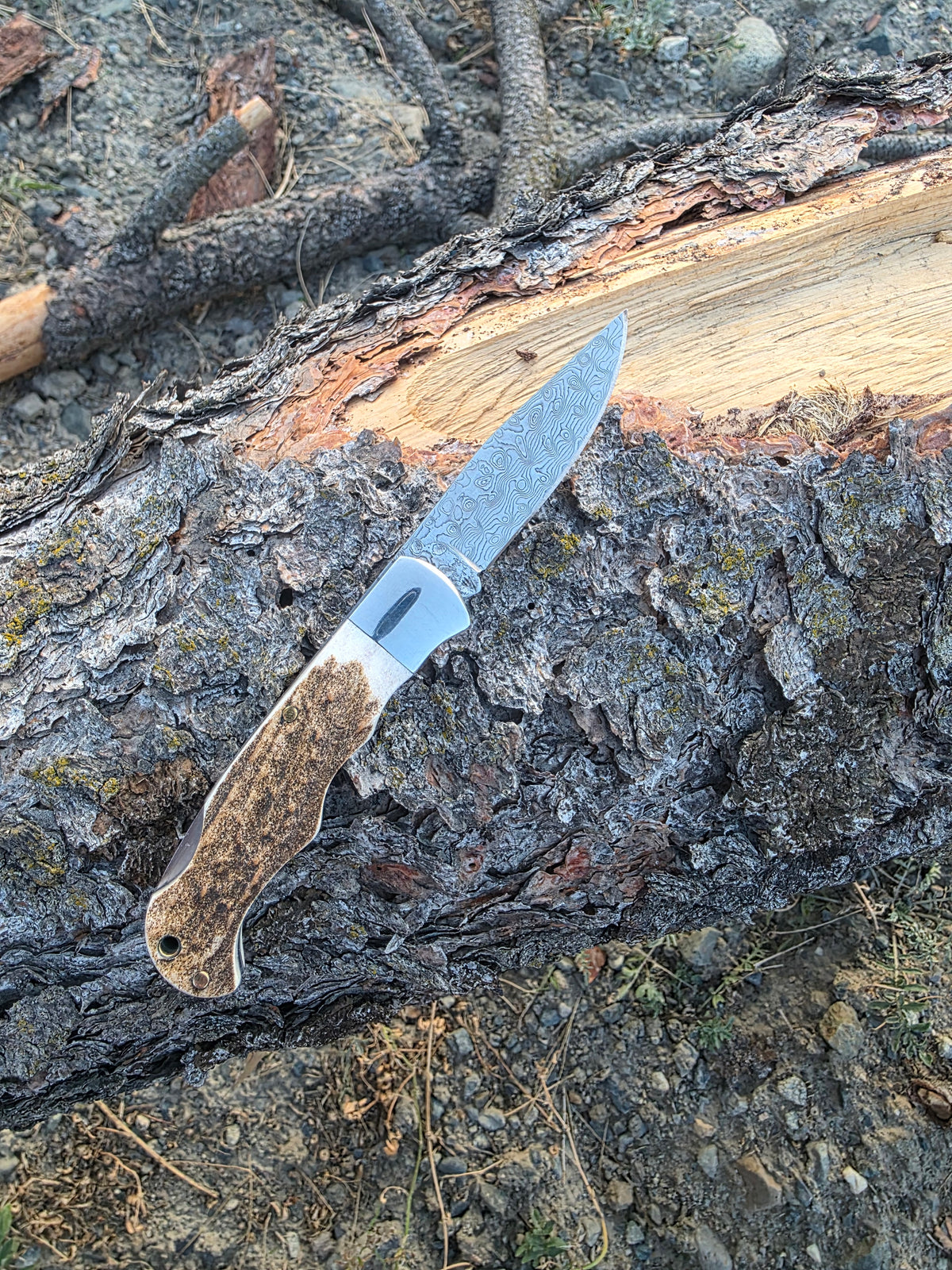 Field & Forage Deer Antler-Handle, VG10 Folding Knife