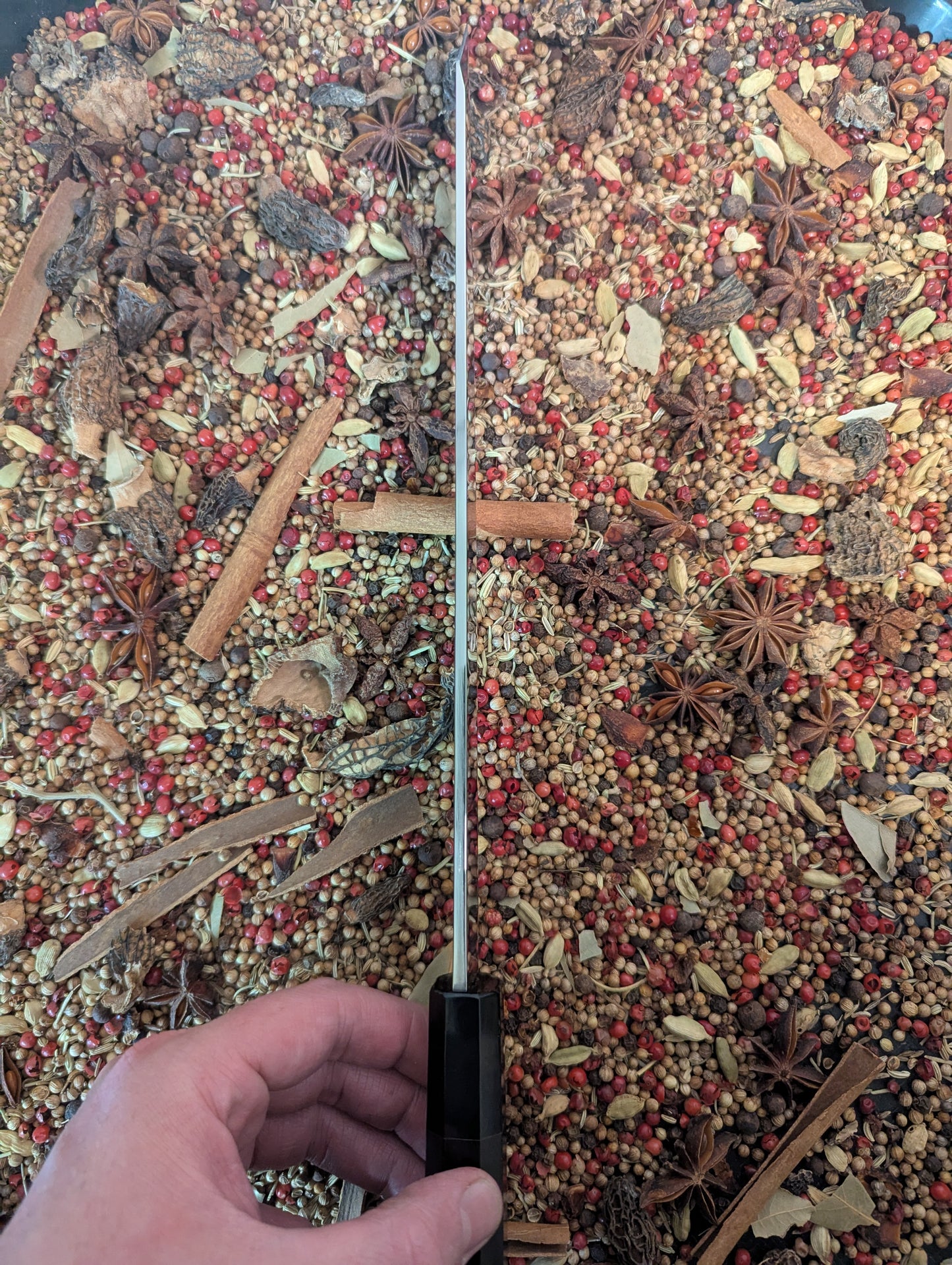 270mm Yanagiba Kiritsuke