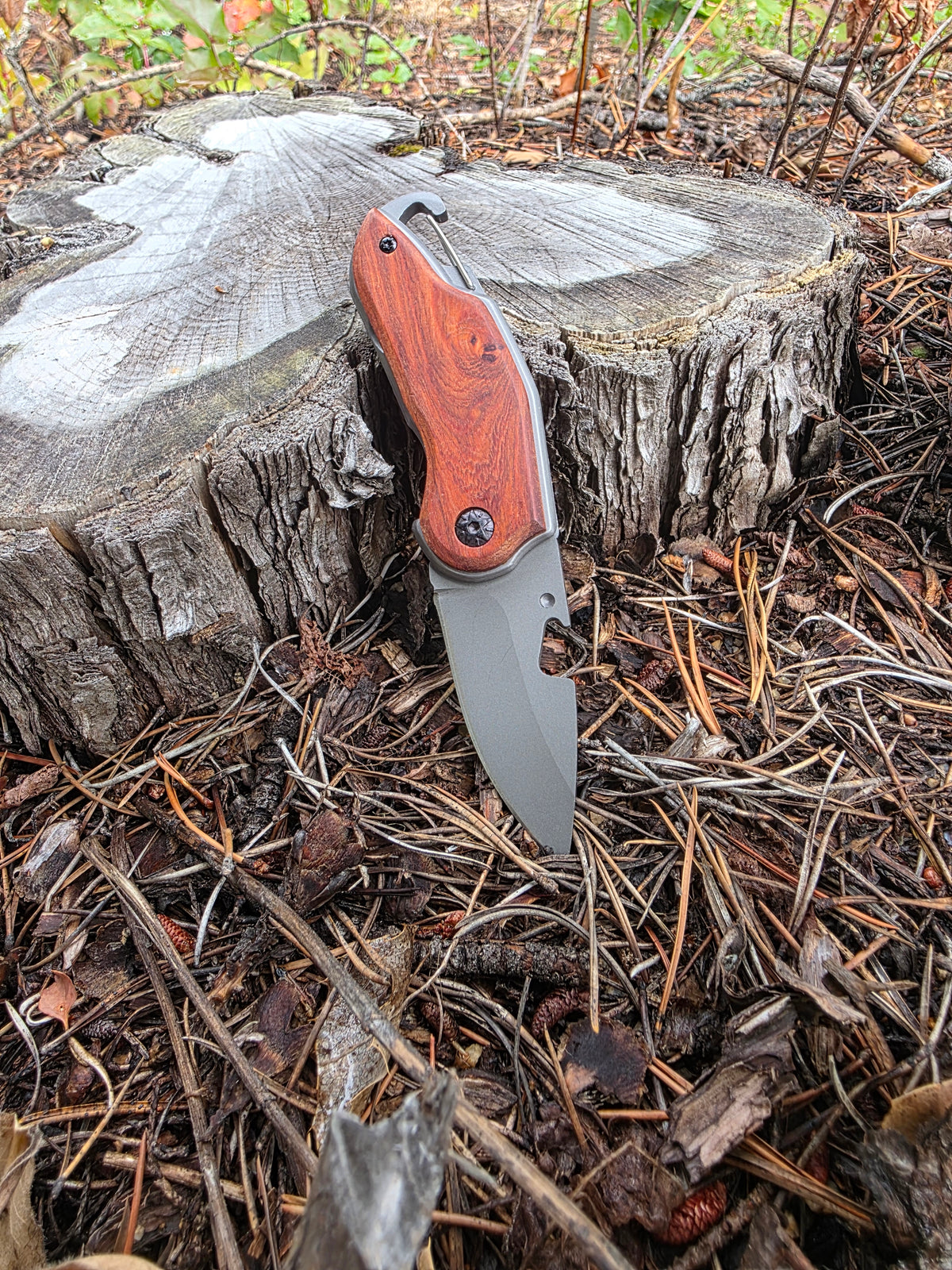 Field & Forage Compact Folding Knife