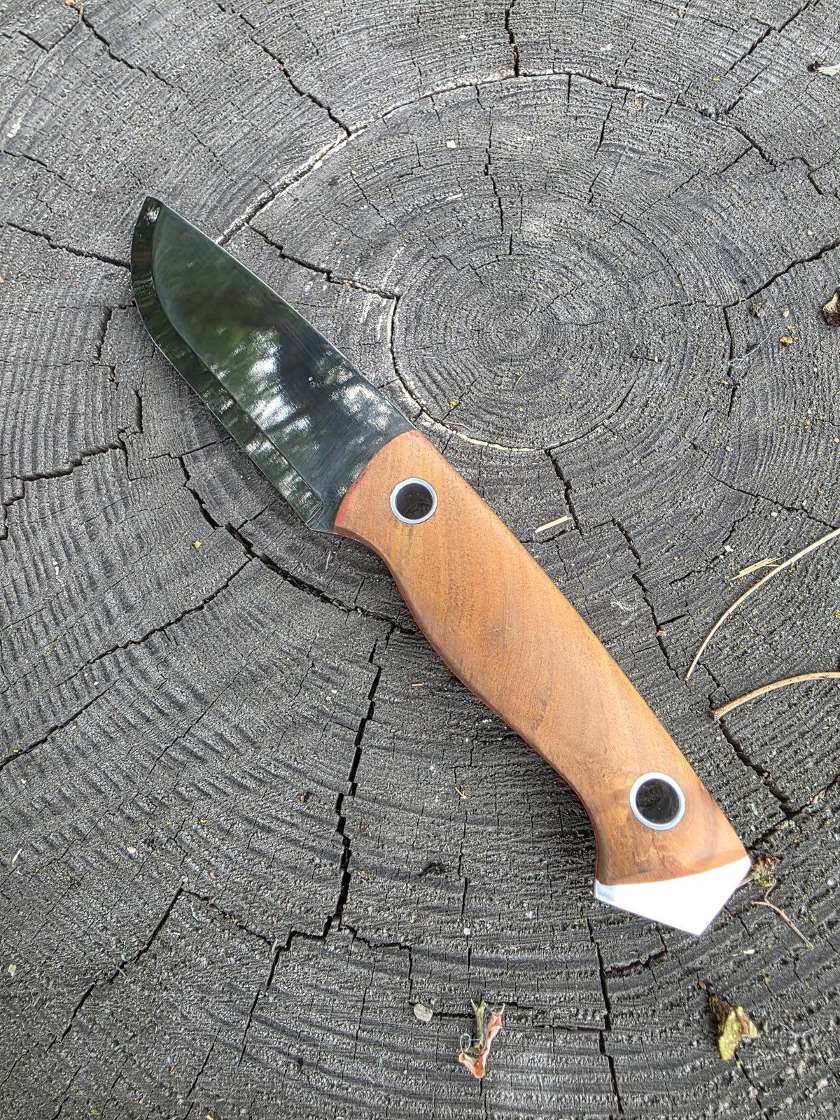 Field & Forage 12C27 Fixed-Blade Knife