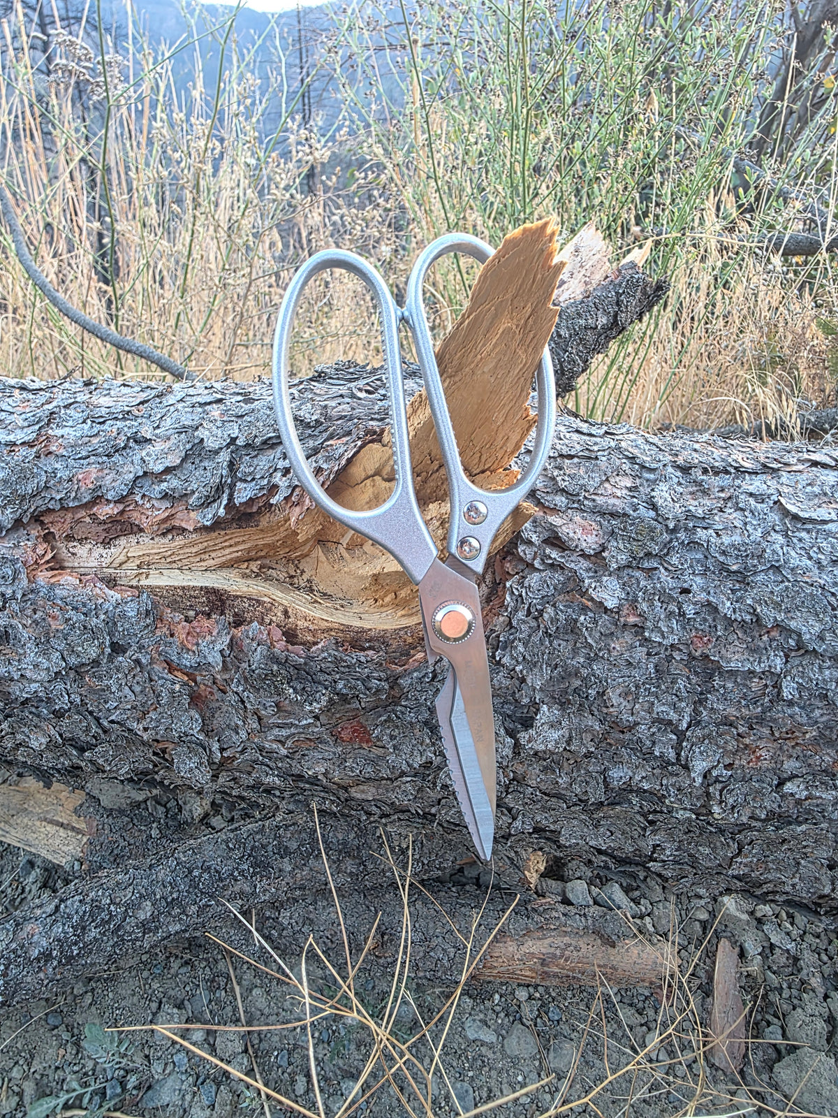 Field & Forage Heavy-Duty Japanese Shears