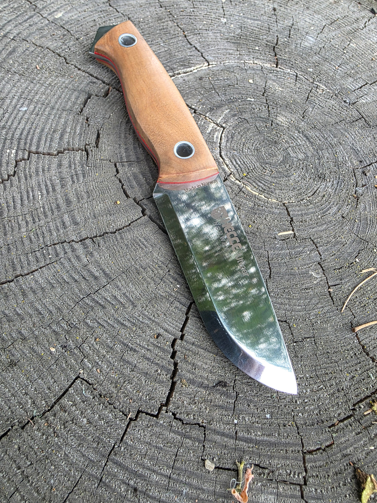 Field & Forage 12C27 Fixed-Blade Knife