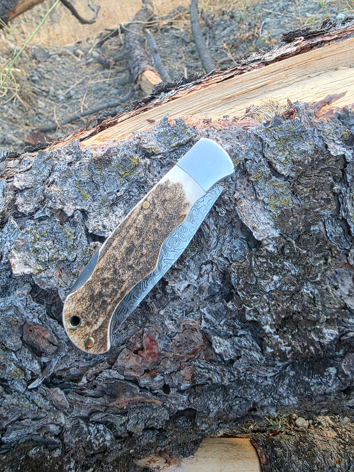 Field & Forage Deer Antler-Handle, VG10 Folding Knife