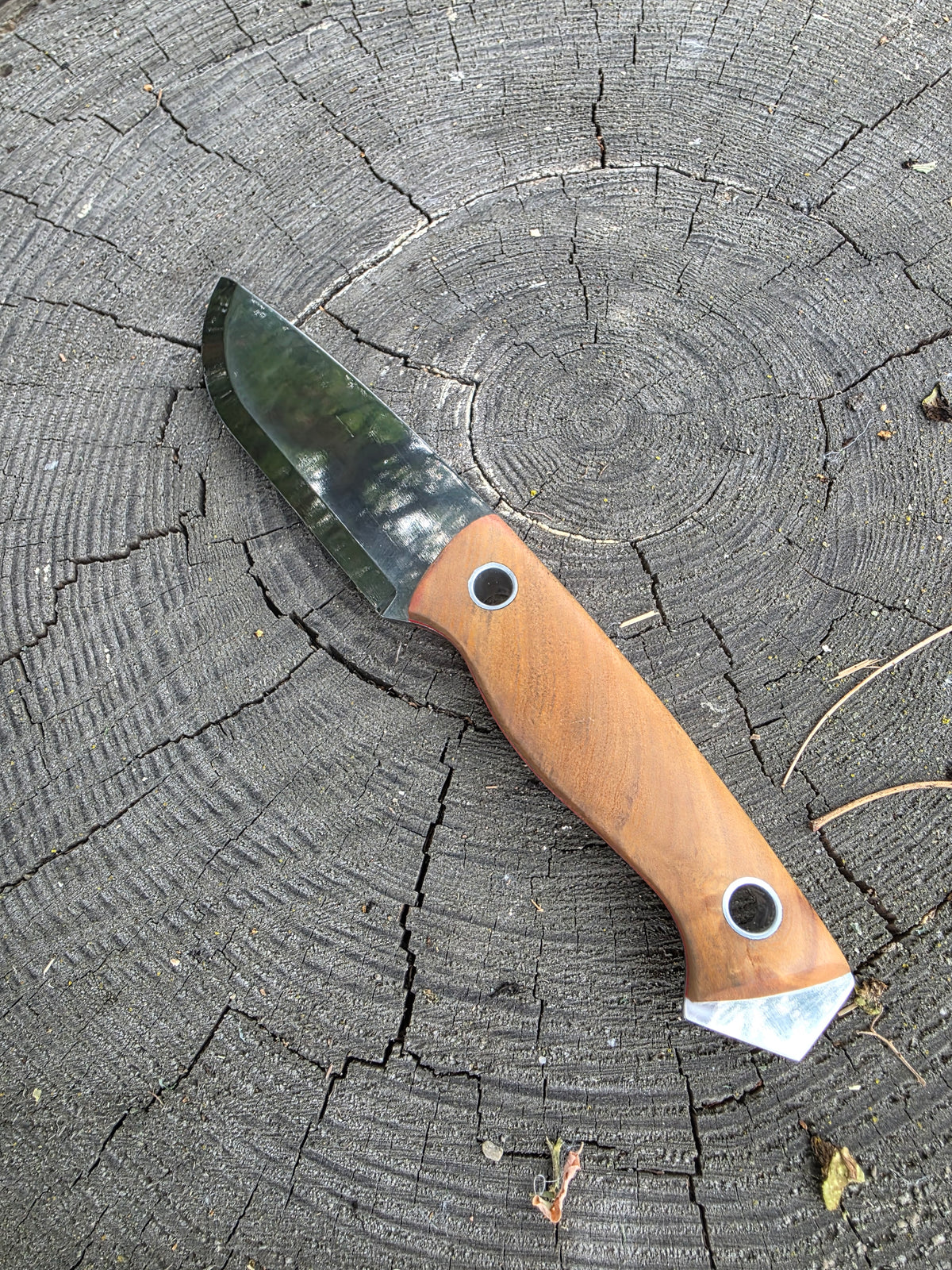 Field & Forage 12C27 Fixed-Blade Knife