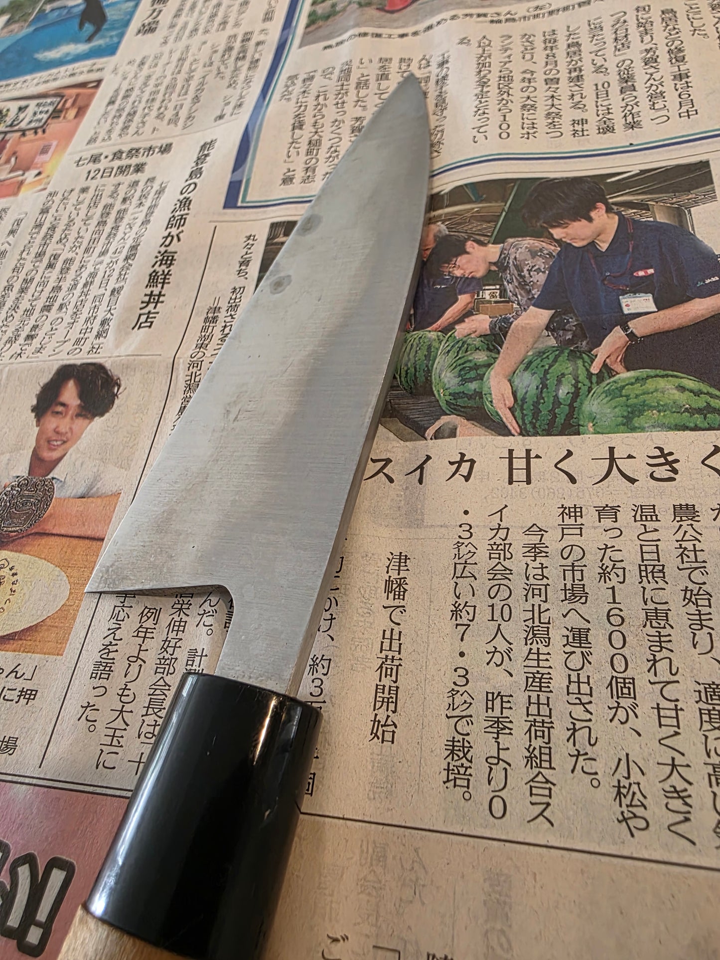 Buckslice Blades Dock Boss Deba