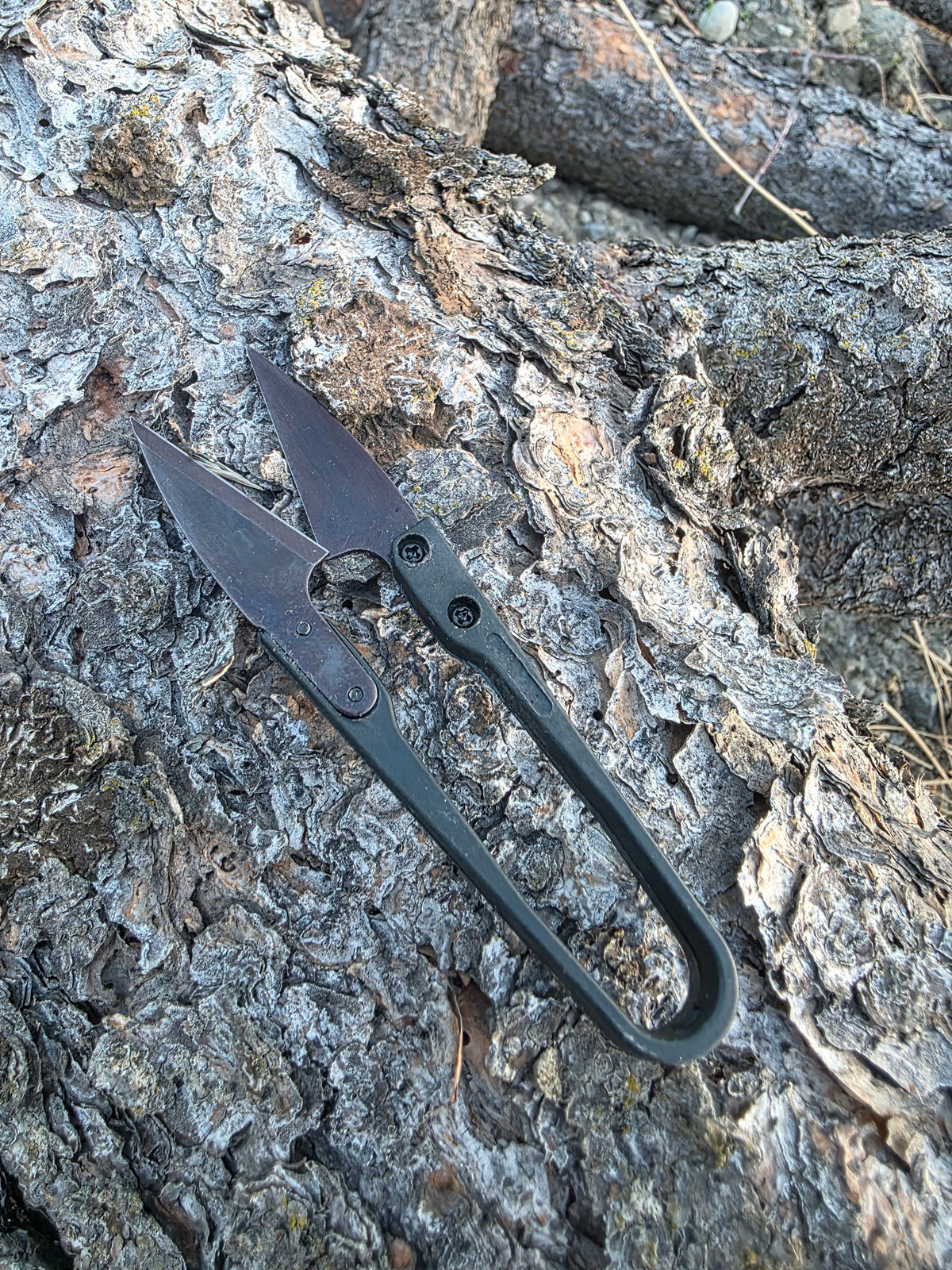 Field & Forage Compact Field Snips