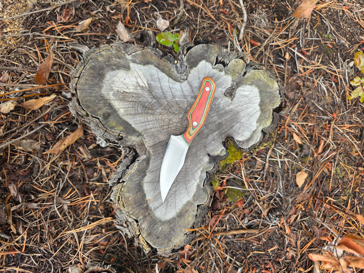 Field & Forage Compact Fixed-Blade Knife