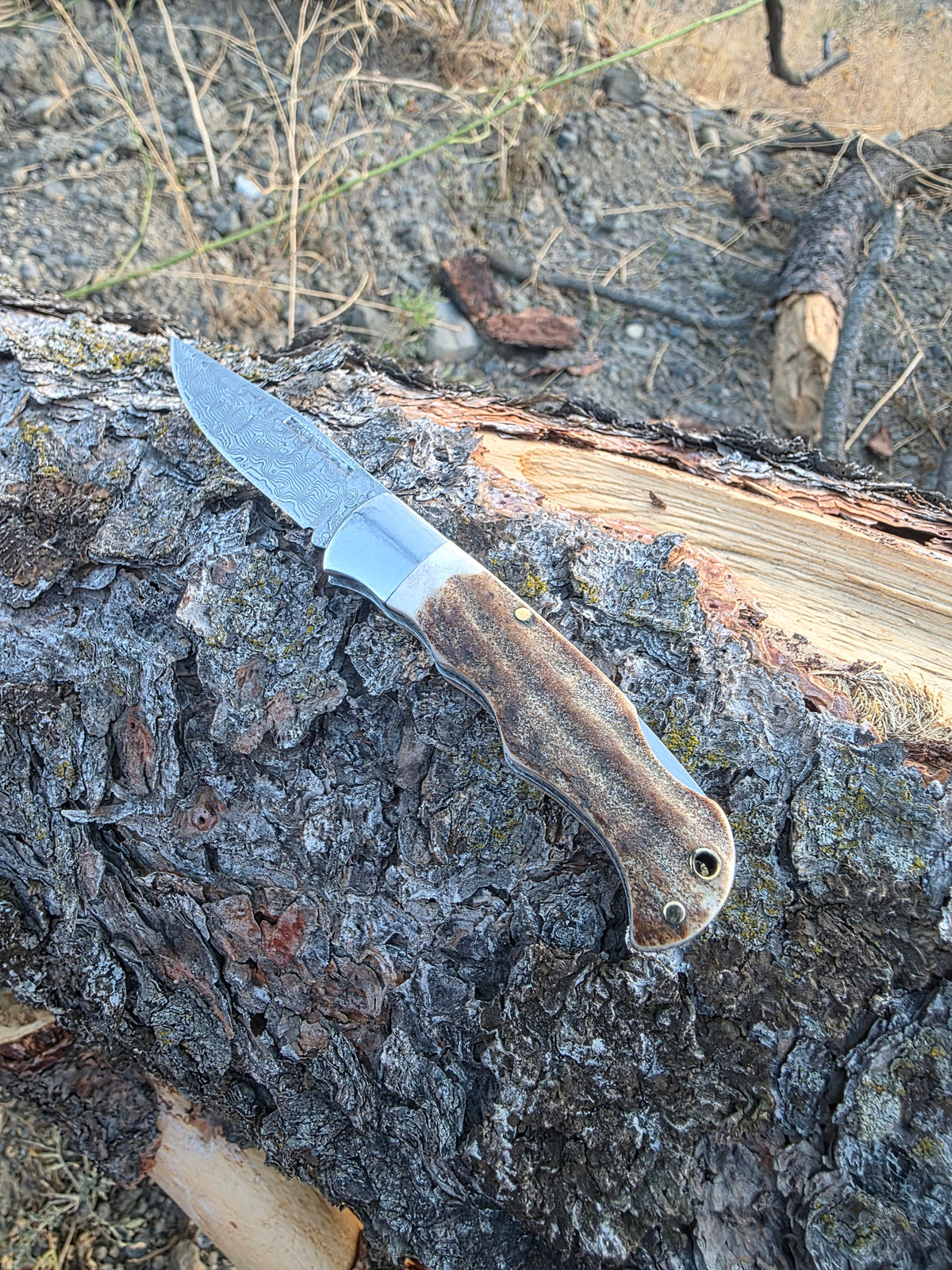 Field & Forage Deer Antler-Handle, VG10 Folding Knife