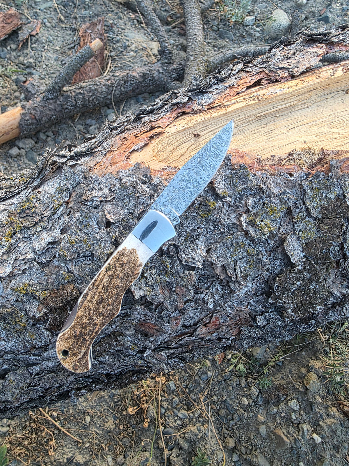 Field & Forage Deer Antler-Handle, VG10 Folding Knife