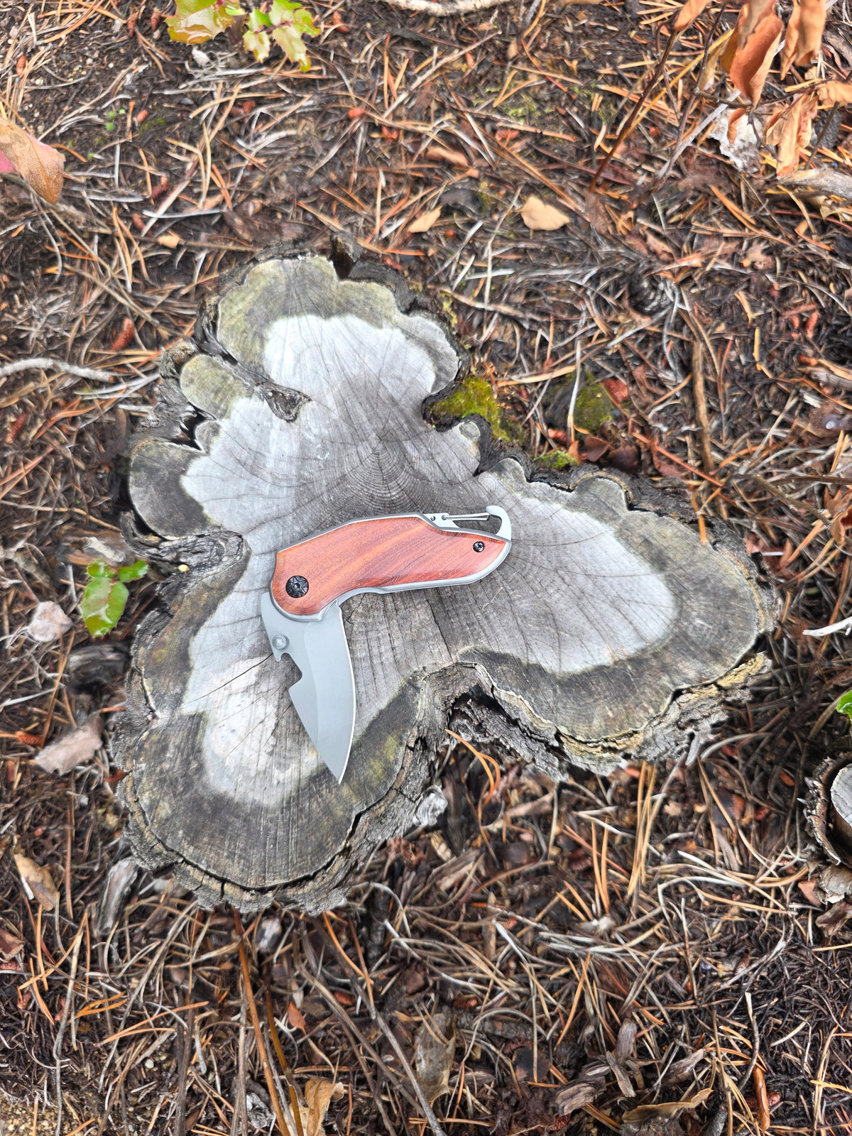 Field & Forage Compact Folding Knife