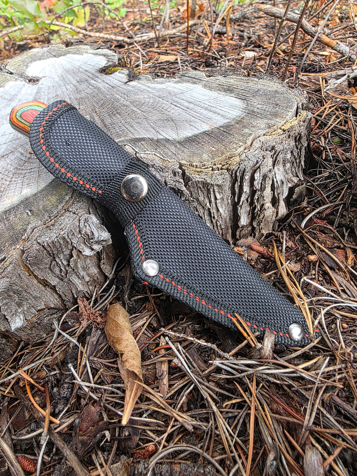 Field & Forage Compact Fixed-Blade Knife