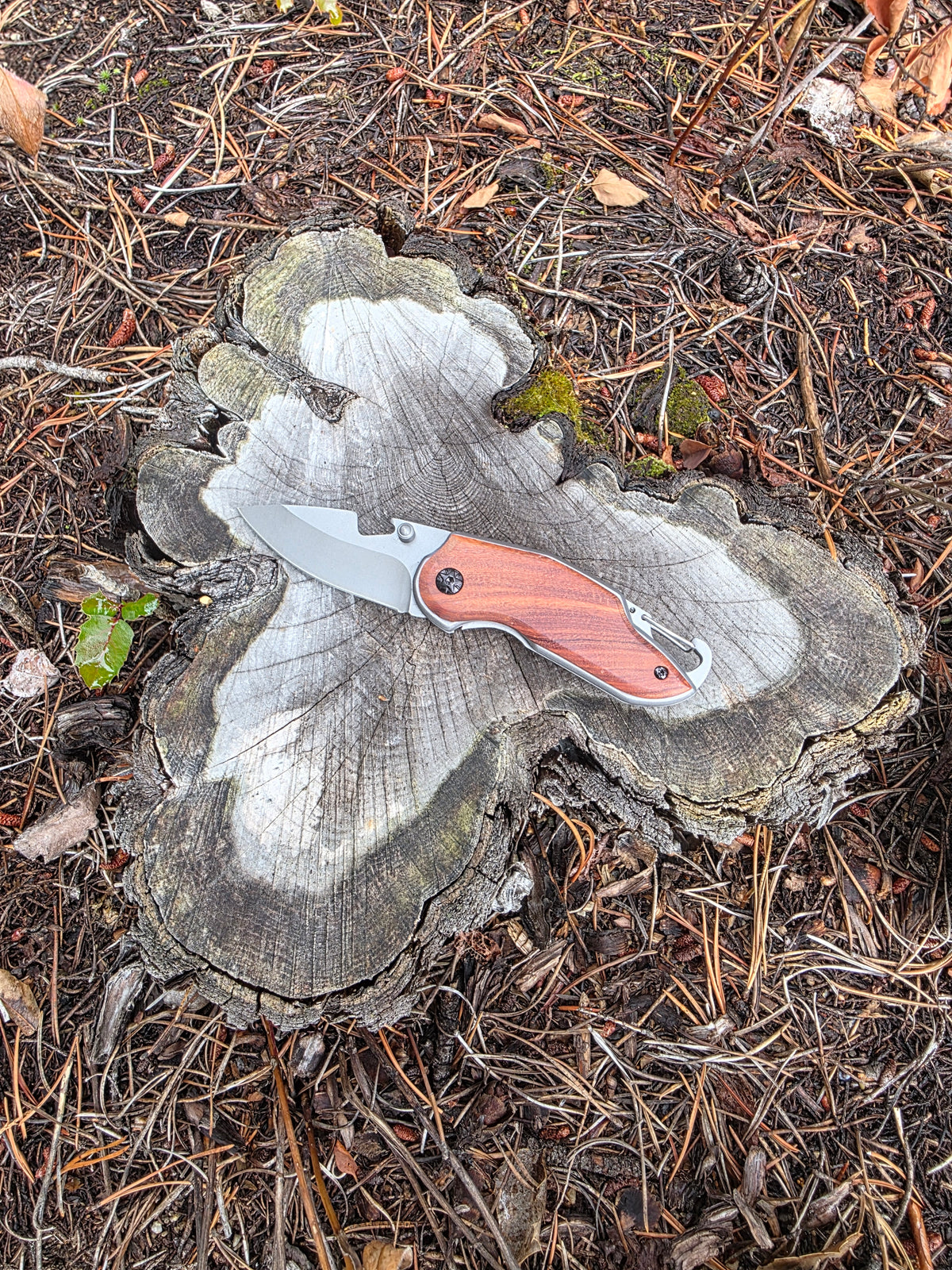 Field & Forage Compact Folding Knife